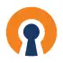 OpenVPN Connect apk