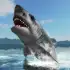 Great White Shark Survival apk