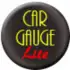 Car Gauge Lite OBD2 APK