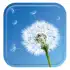 Dandelion apk