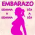 Embarazo apk