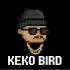 keko bird APK