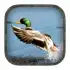 Duck Hunting Calls apk