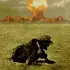 DUST - A Post Apocalyptic Role Playing Game apk
