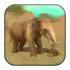 Wild Elephant Sim 3D apk