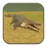 Wild Crocodile Simulator 3D apk