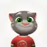 Talking Tom Cat apk