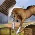 Horse Simulator Free apk