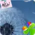 Go Galaxy S3 Theme Dandelion apk
